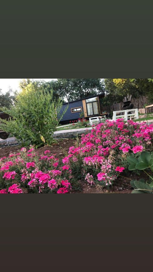 Hotel Tiny House Kayakoey Kumquat Exteriér fotografie